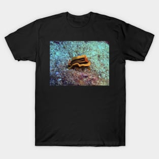 Chromodoris joshi nudibranch T-Shirt